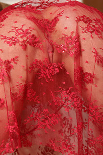 Fresh model Nicole shows us her nice ass and medium sized breasts in red lace-02