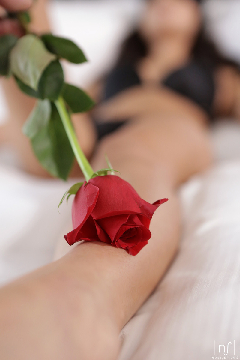 Romance And Roses 2