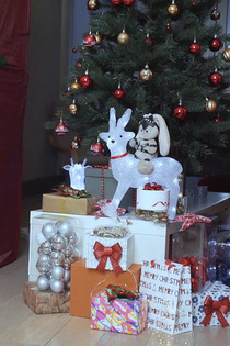 Christmas Presents-04